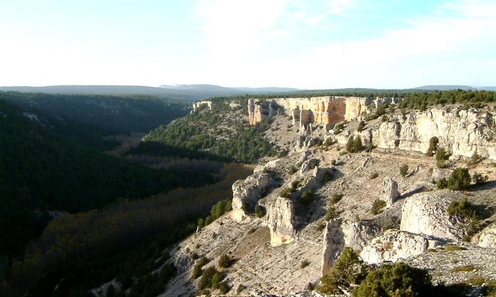 Hotel Rural La Corte De Los Pinares Vinuesa Eksteriør billede